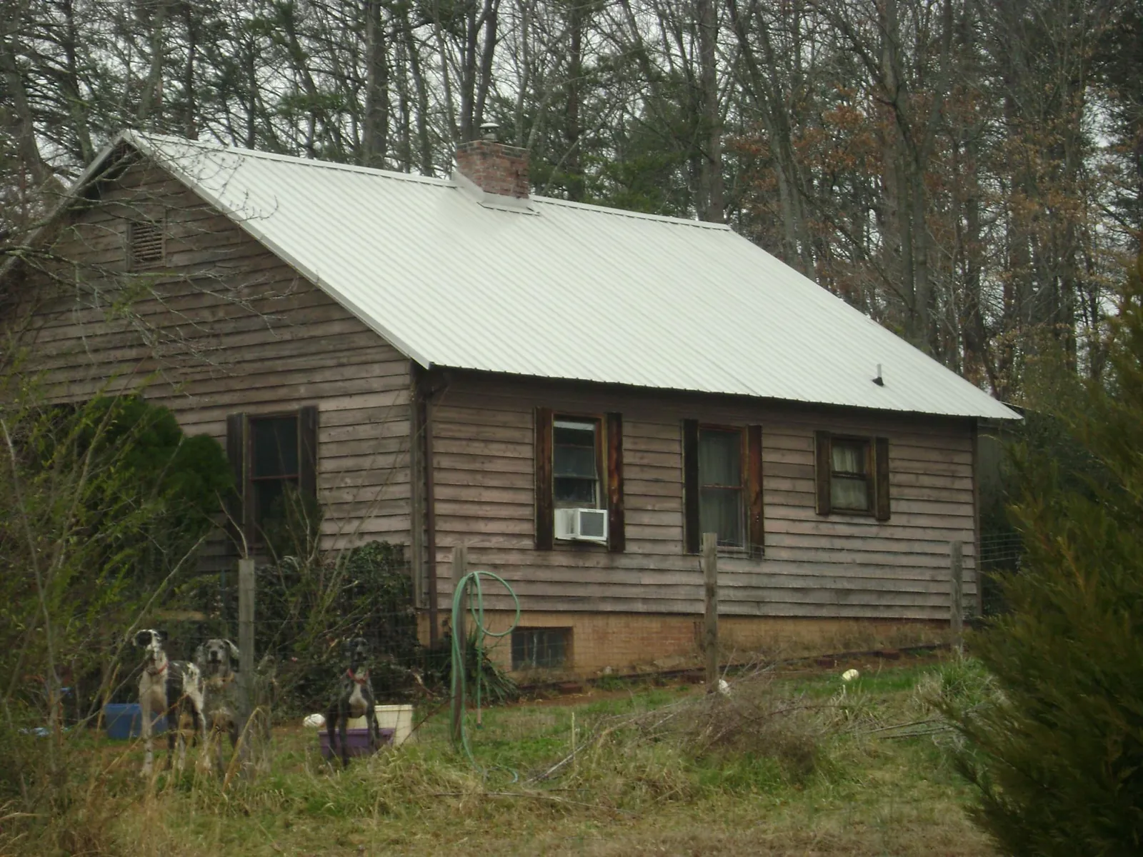 White metal roof on an old wood sided farmhouse, from a Asphalt Shingle Roof Repair job in Scarsdale